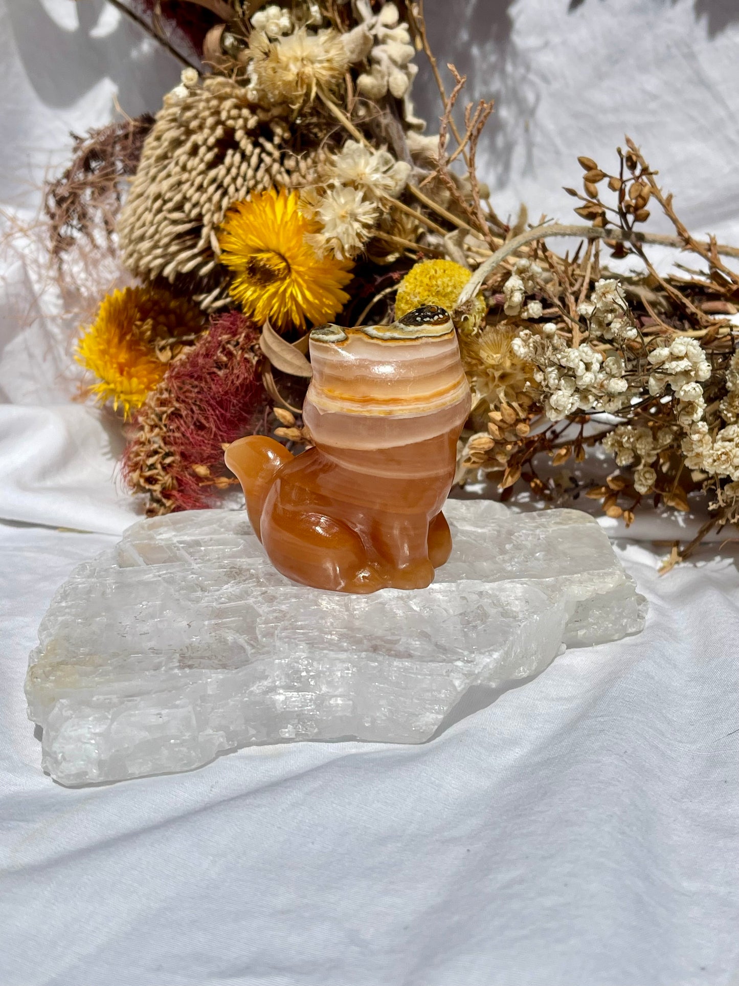 Orange Calcite Grumpy Cat