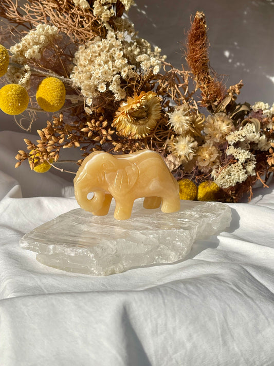 Orange Calcite Elephant #1