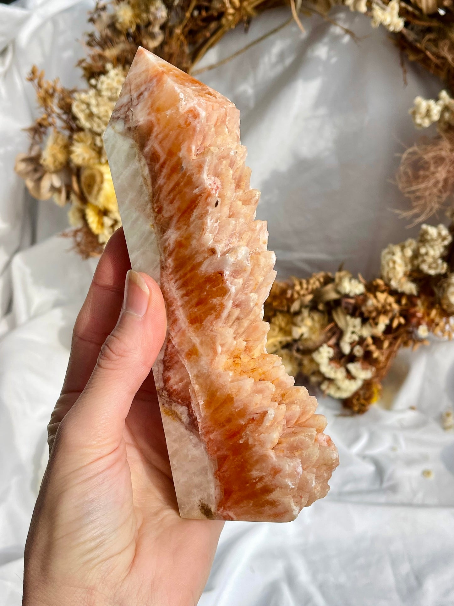 Orange Dogs Tooth Calcite Point