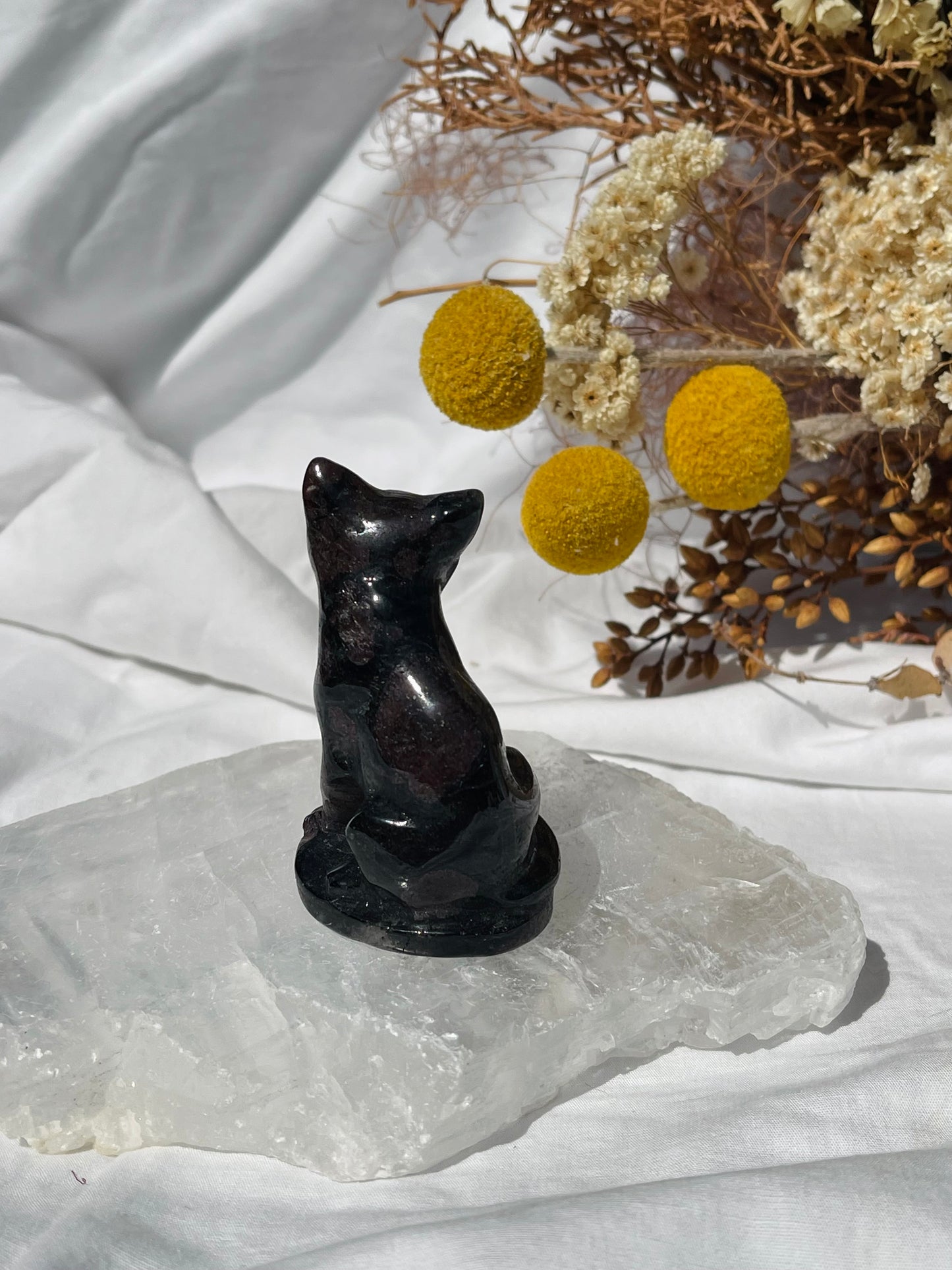 Garnet Astrophyllite Cat #2