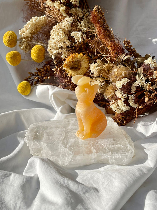Orange Calcite Cat With Butterfly