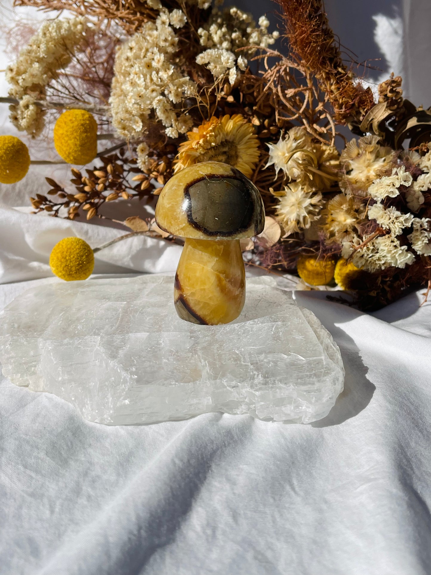 Septarian Dragonstone Mushroom