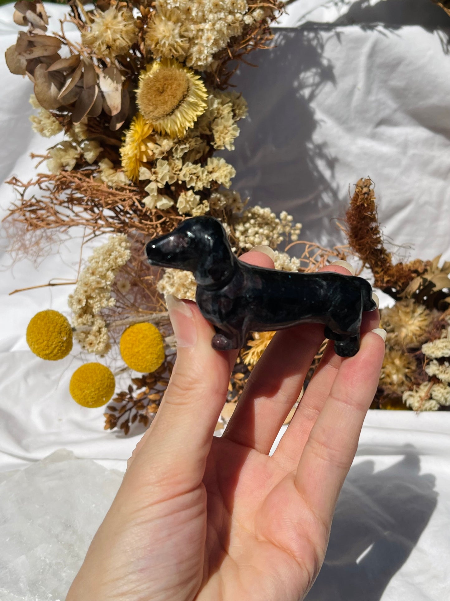 Garnet Astrophyllite Sausage Dog