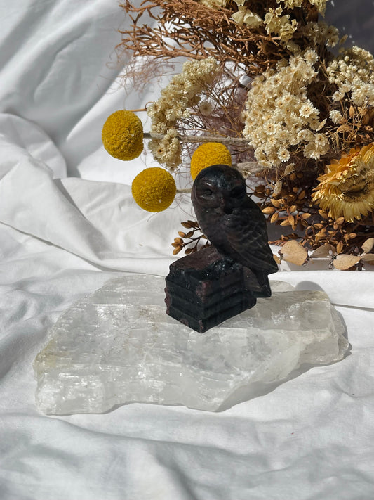 Garnet Astrophyllite Owl #1