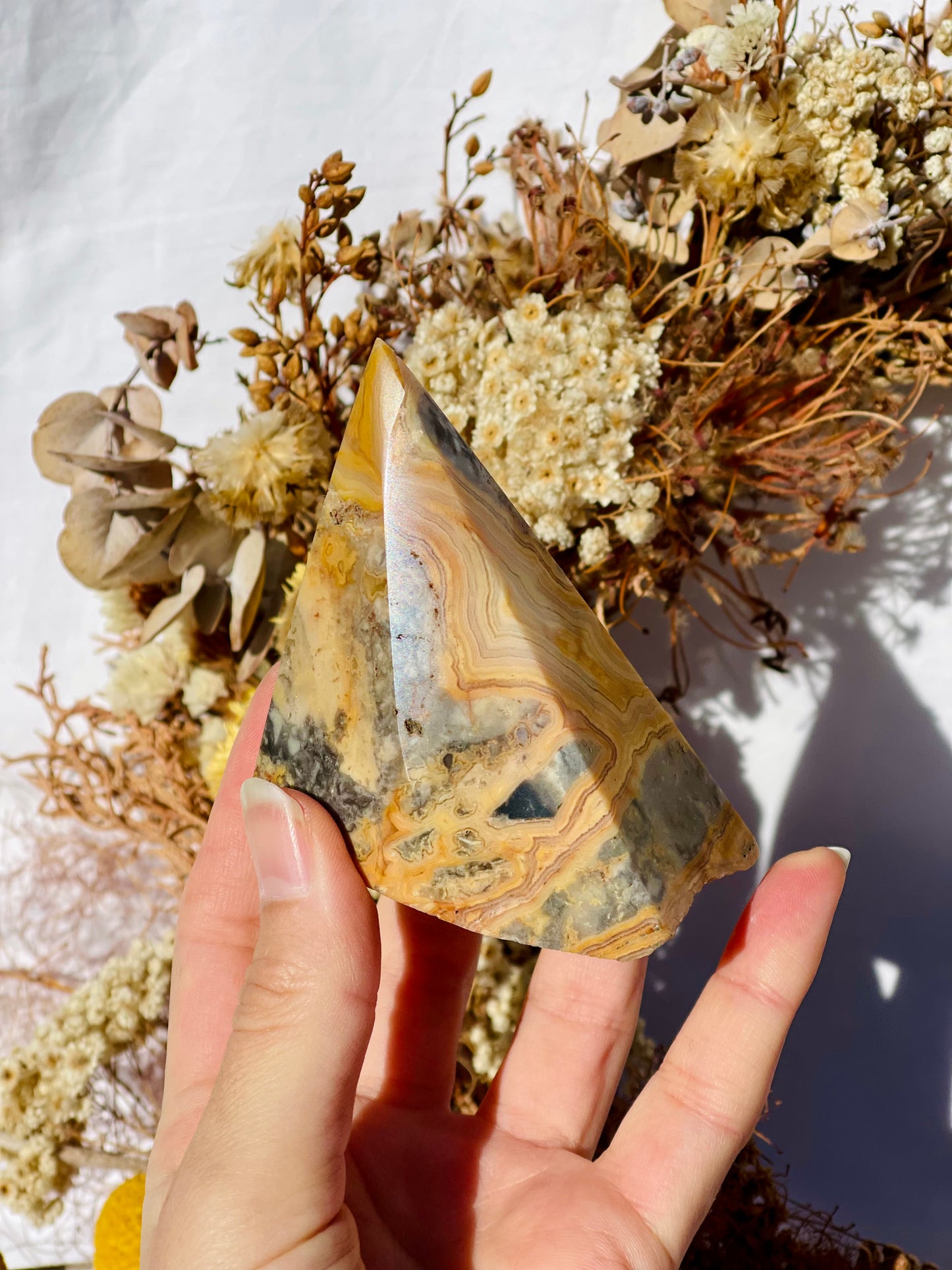 Crazy Lace Agate Point #1