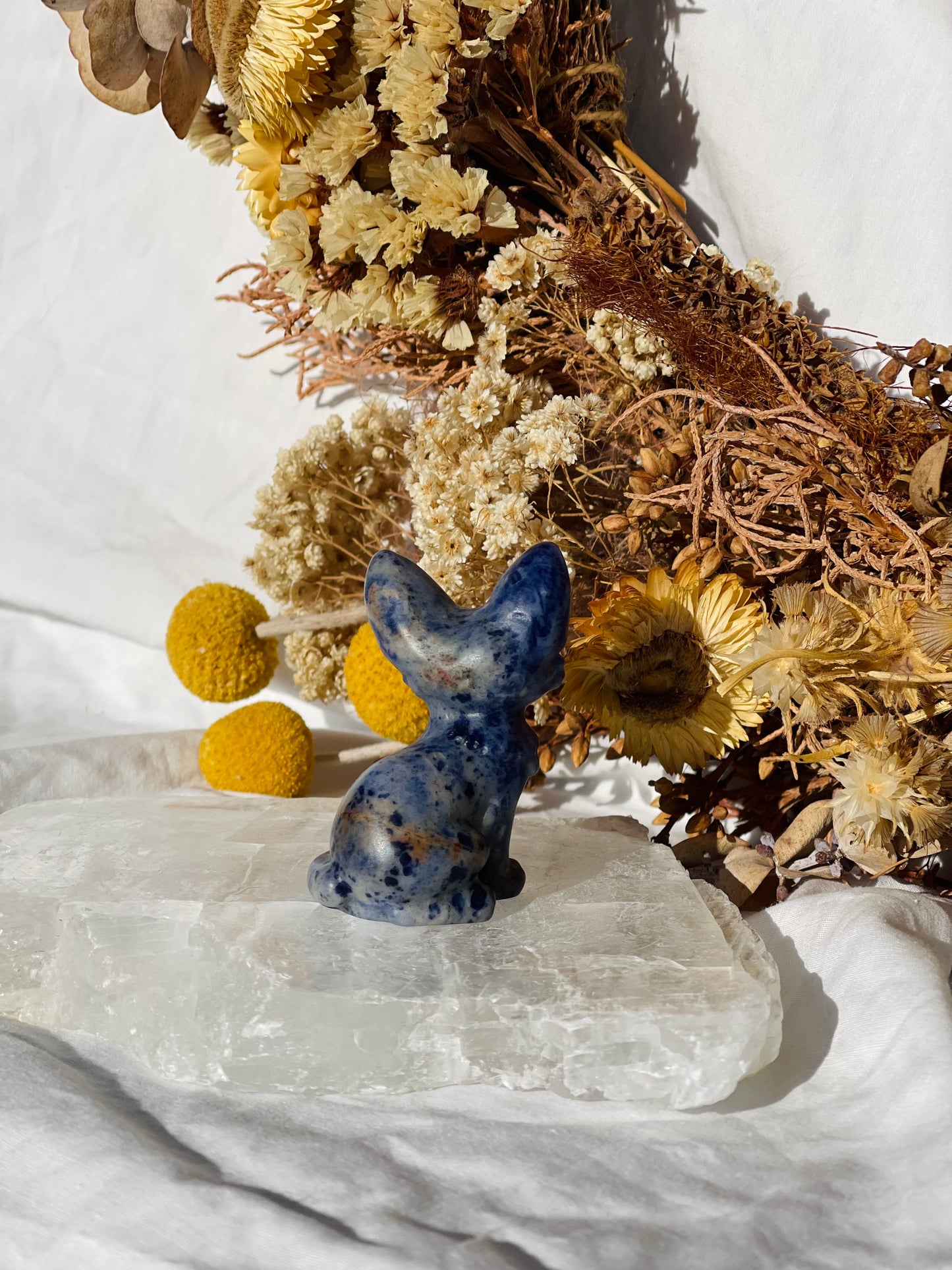 Sodalite Cat
