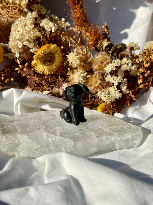 Black Obsidian Dog