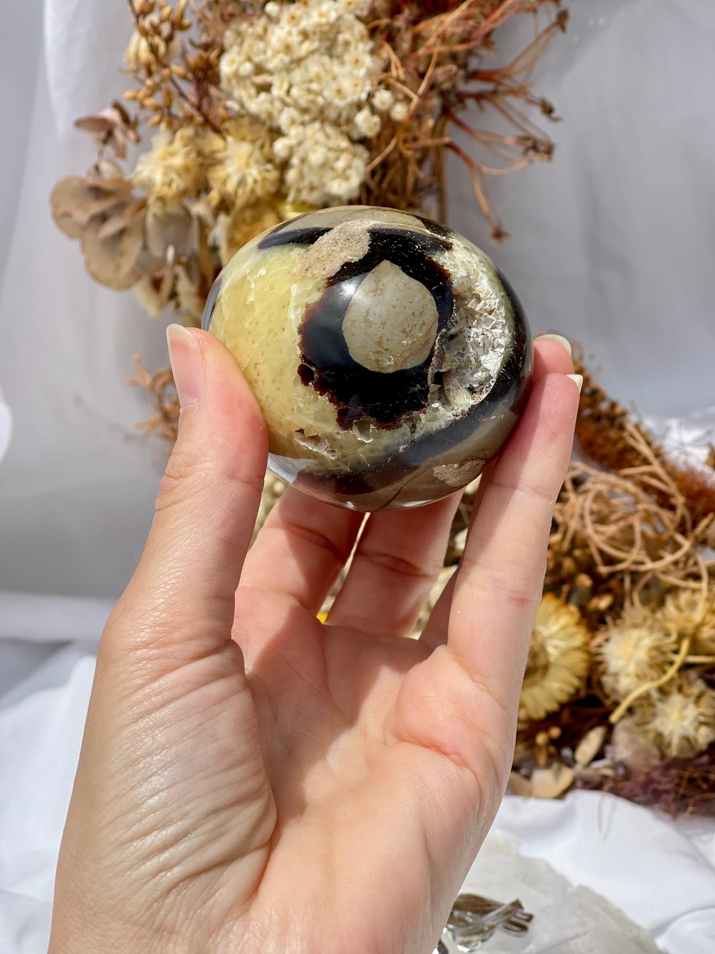 Septarian Dragon Stone Egg #3