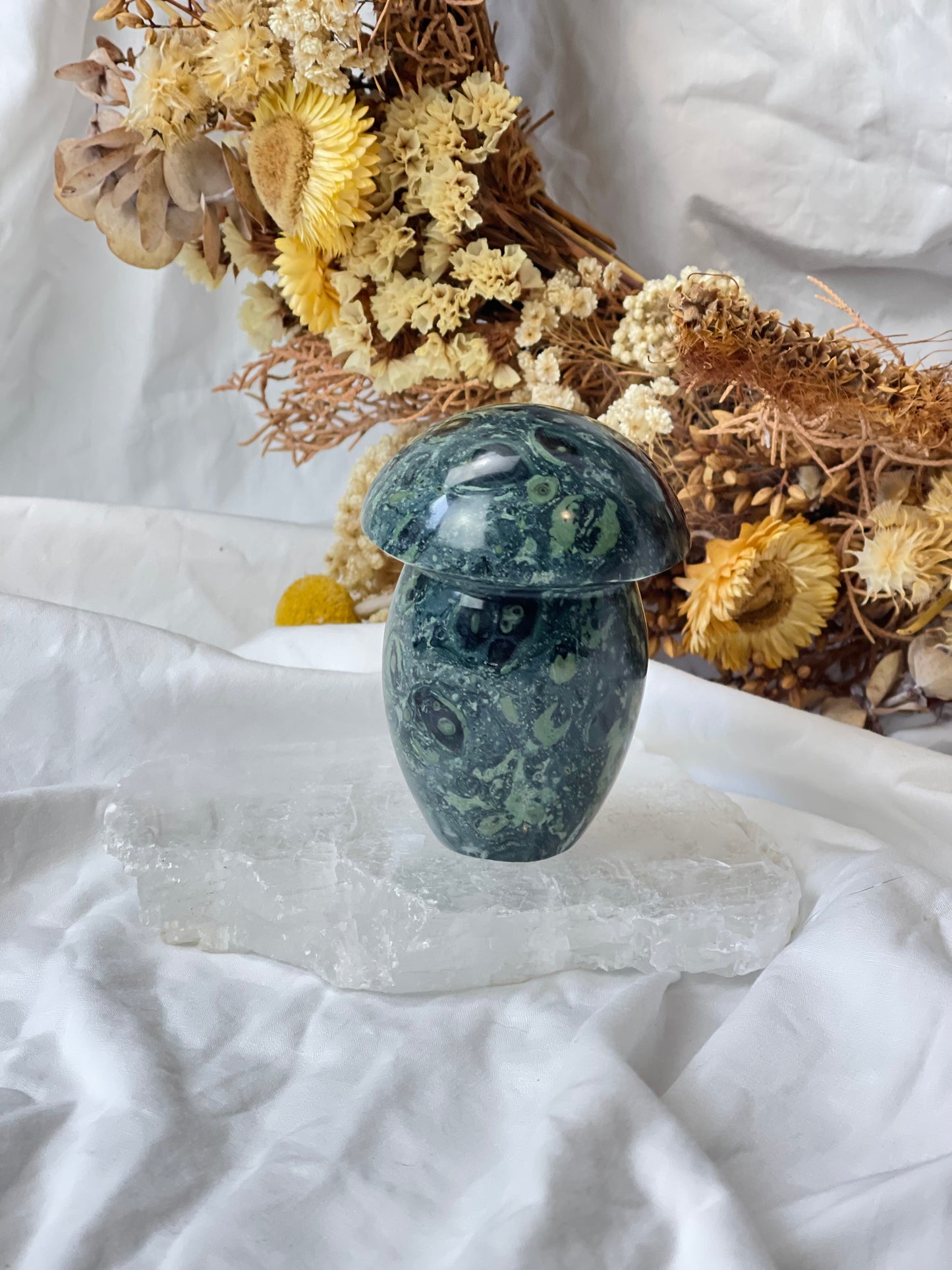 Kambaba Jasper Mushroom