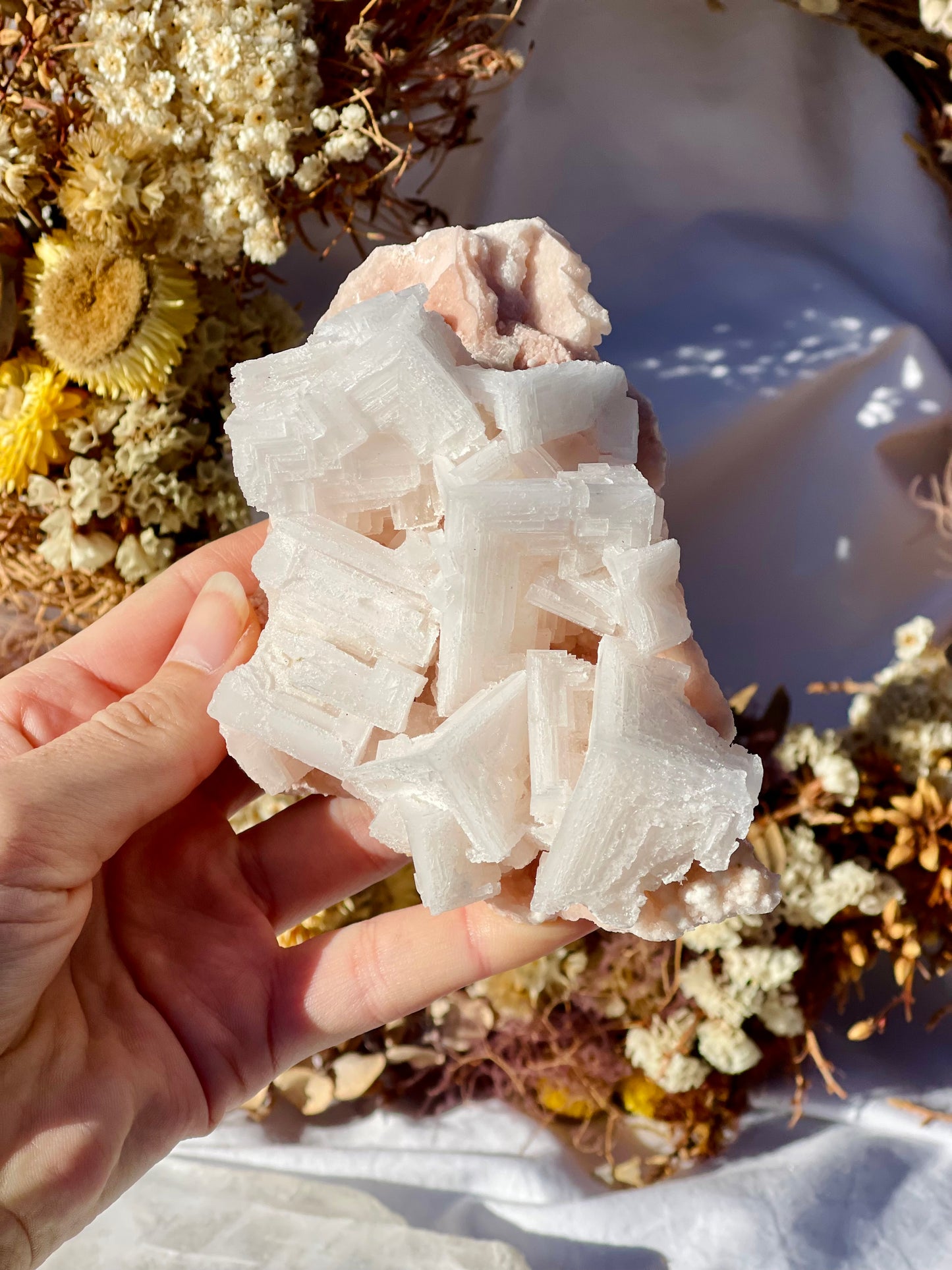 Pink Halite Cluster #4