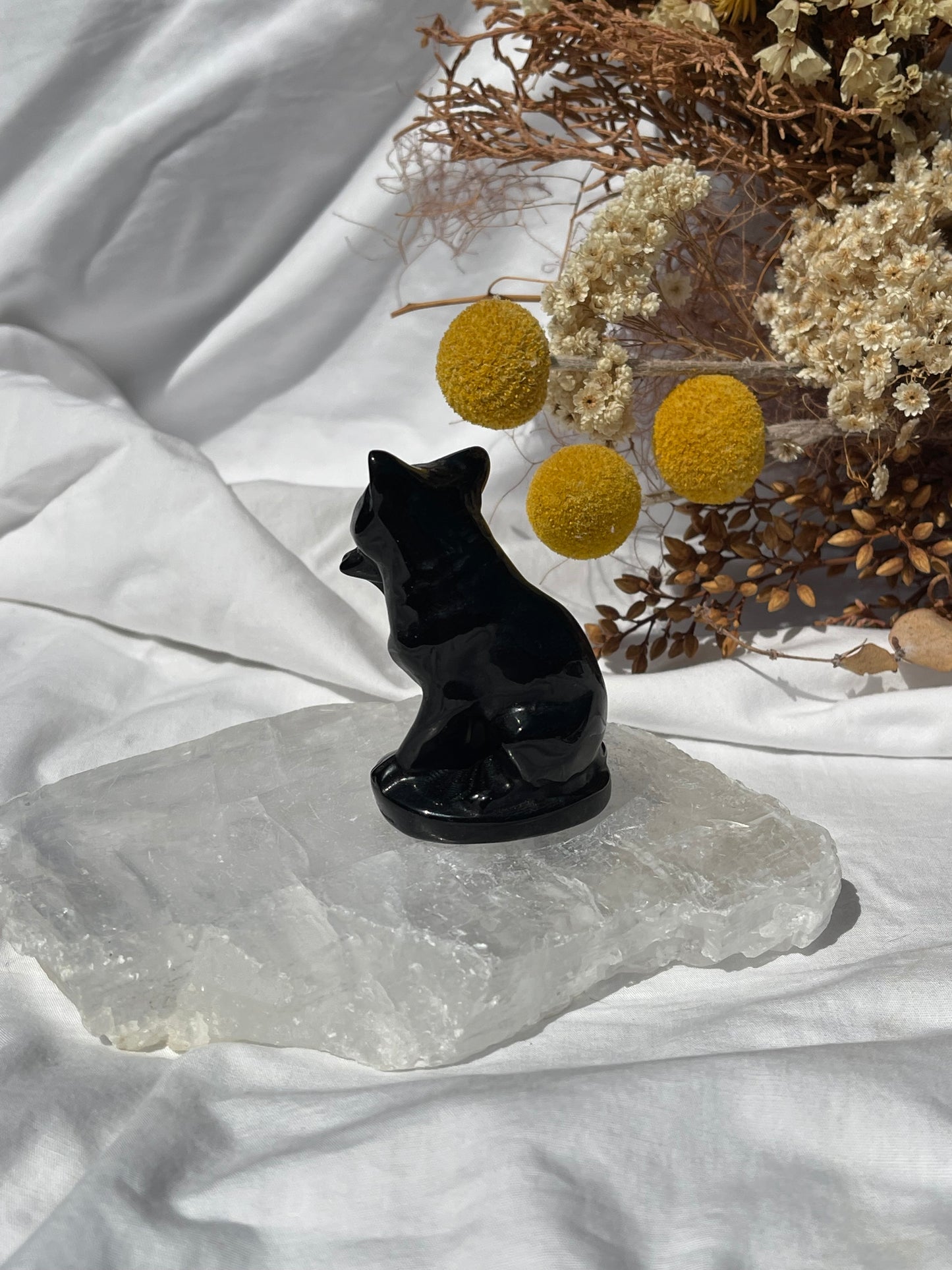 Black Obsidian Cat