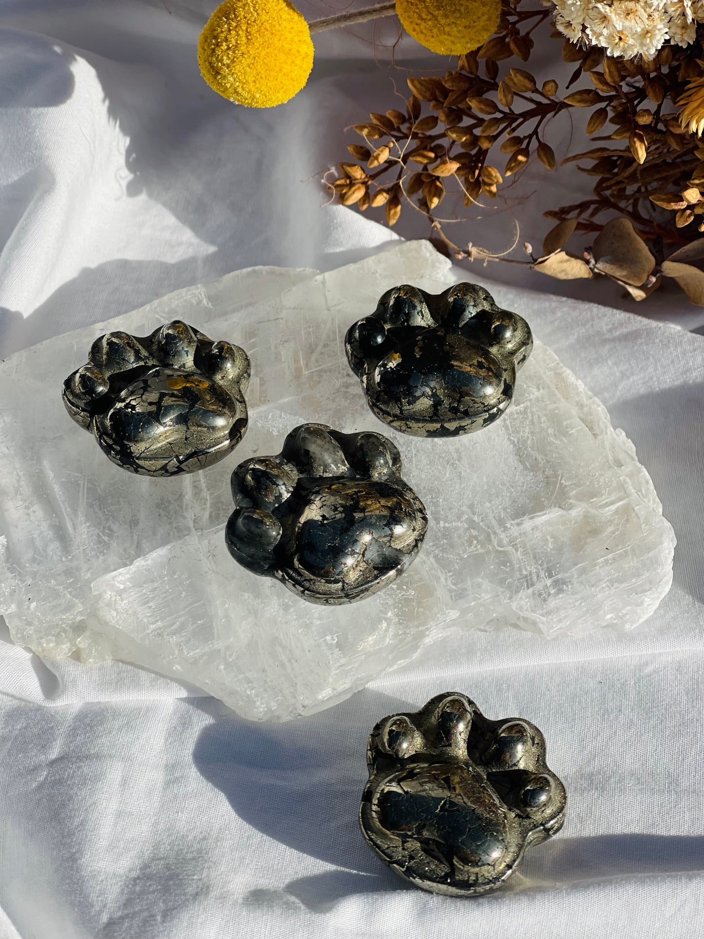 Pyrite Paw