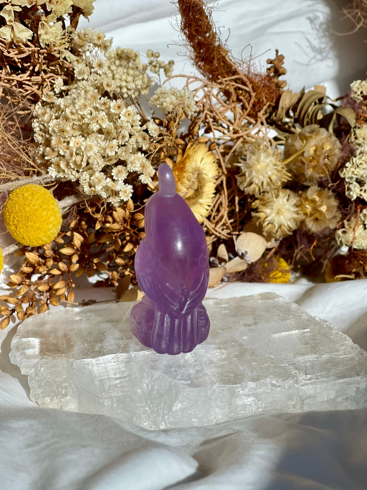 Purple Fluorite Parrott