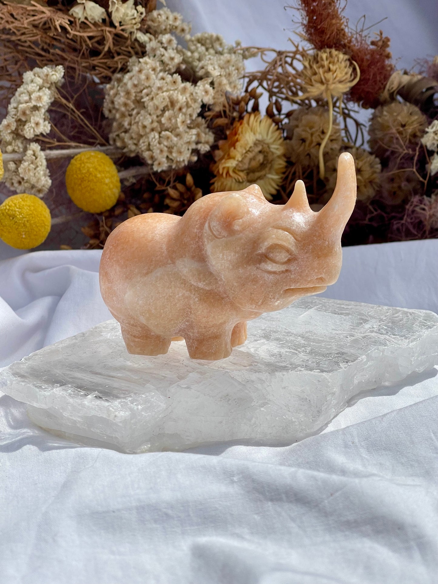 Sunstone Rhino