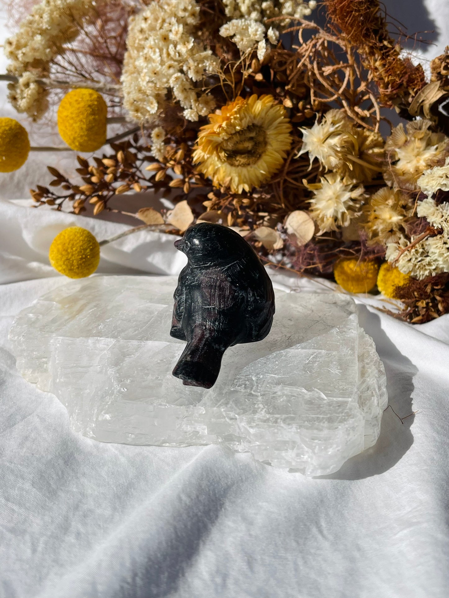 Garnet Astrophyllite Bird #1