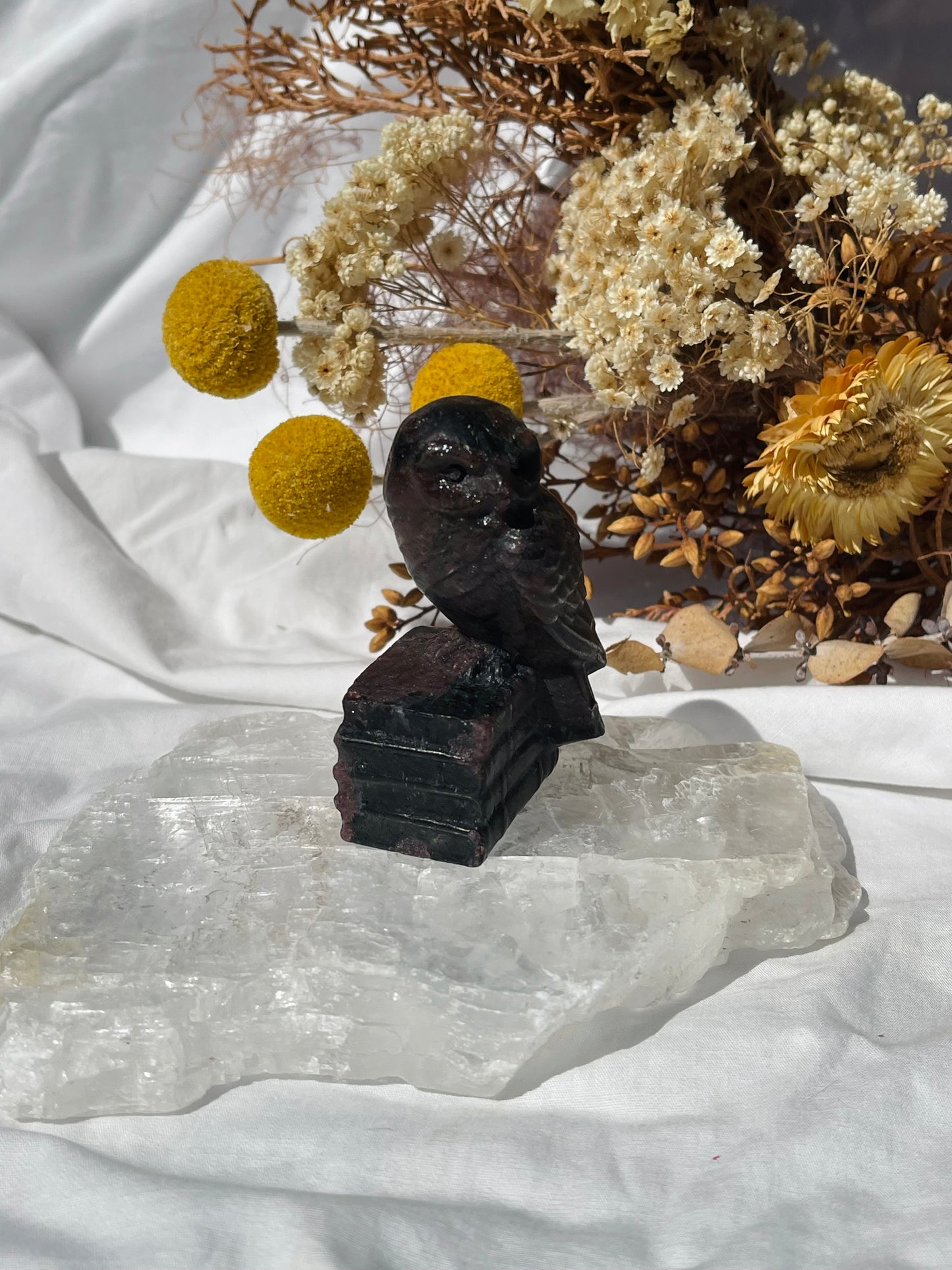 Garnet Astrophyllite Owl #1