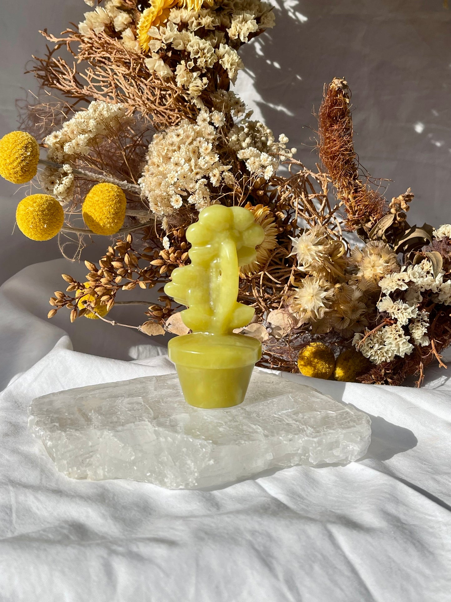 Lemon Jade Flower Pot