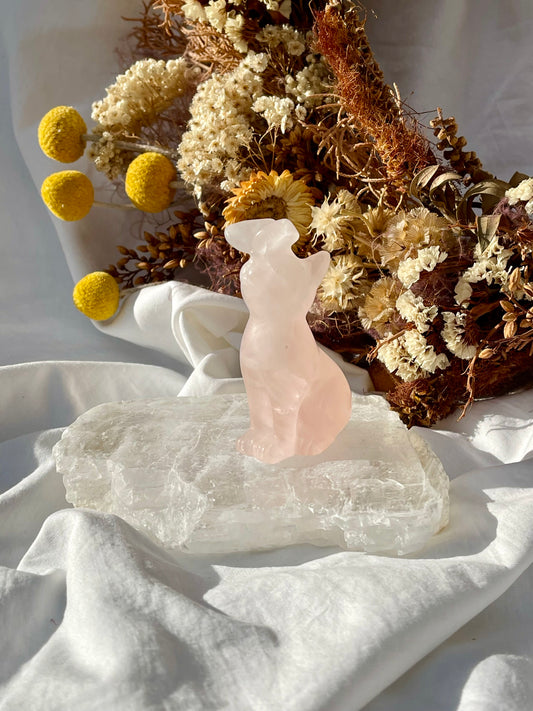 Rose Quartz Cat With Butterfly