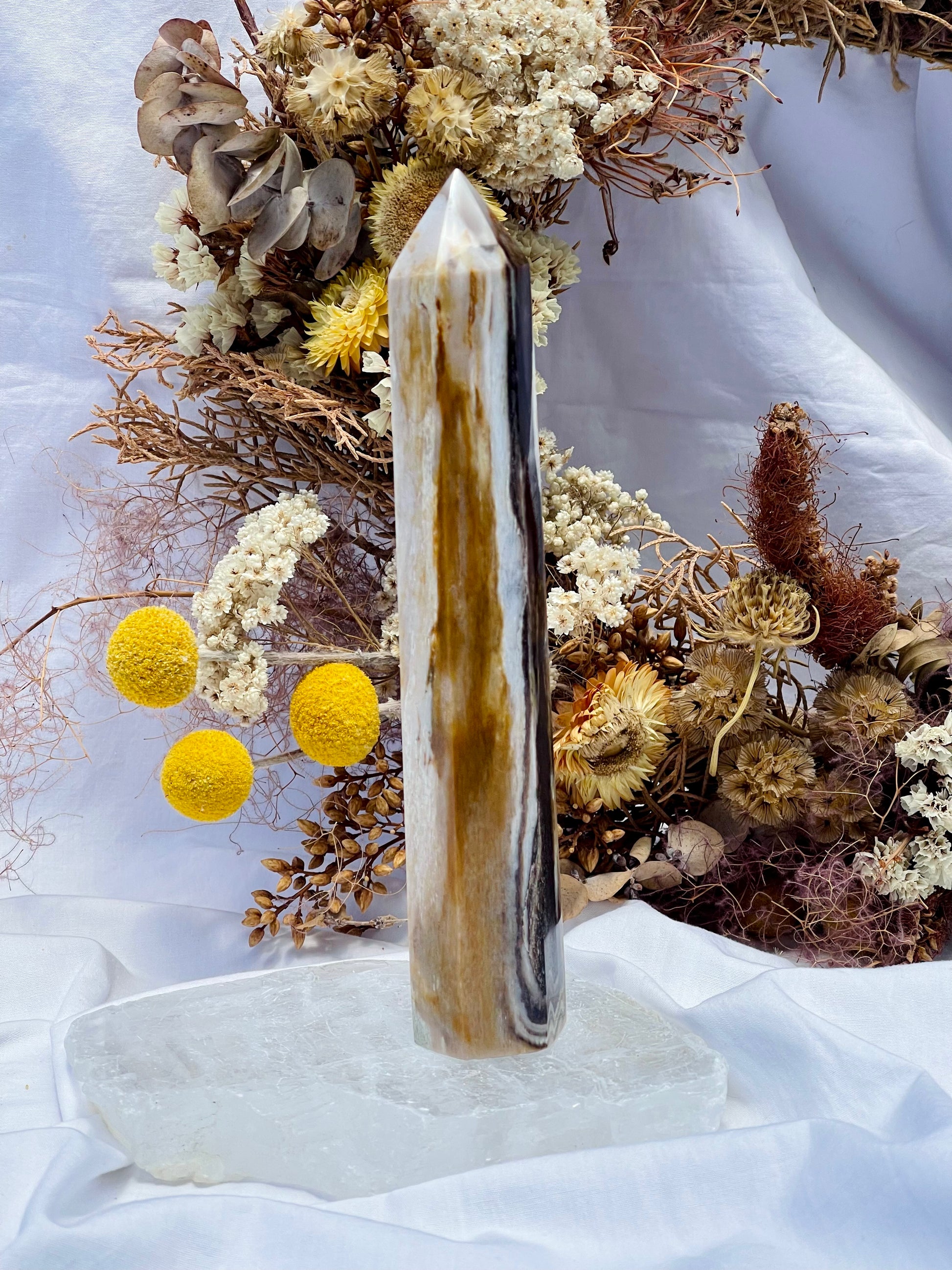 Wood Poit Rocks Petrified Wood Point #2 – Saint11crystals