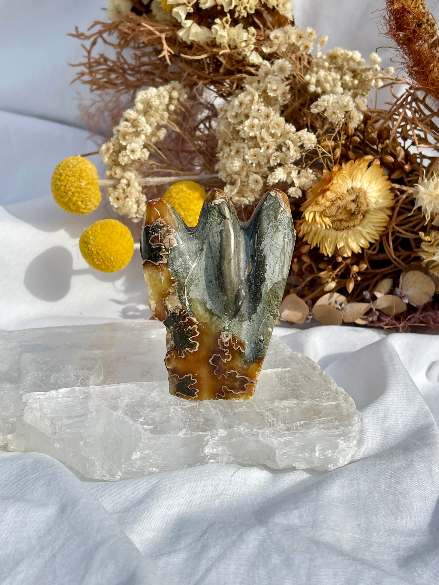 Ammonite Critter #4