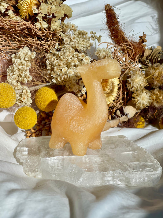 Orange Calcite Camel