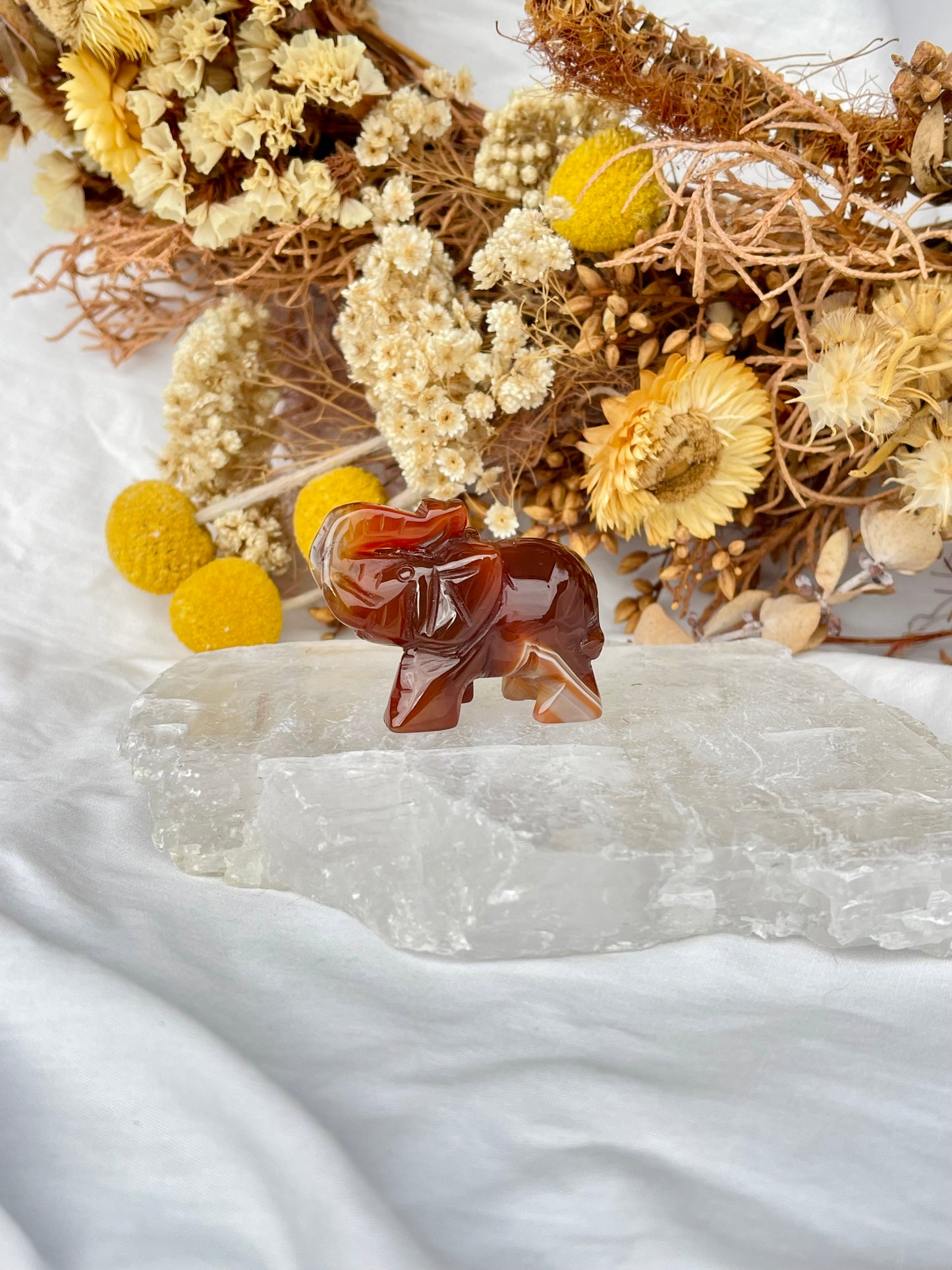 Carnelian Elephant #2