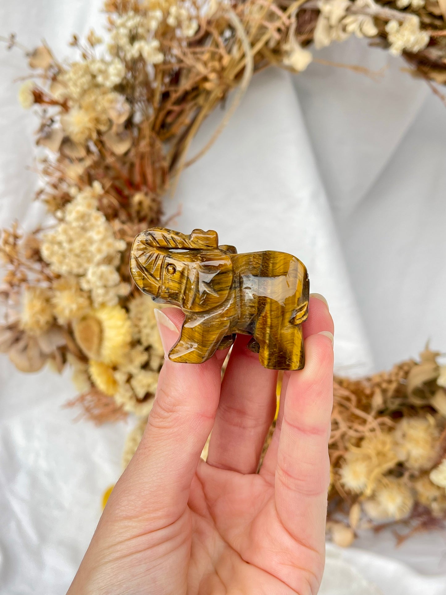 Tiger Eye Elephant #1