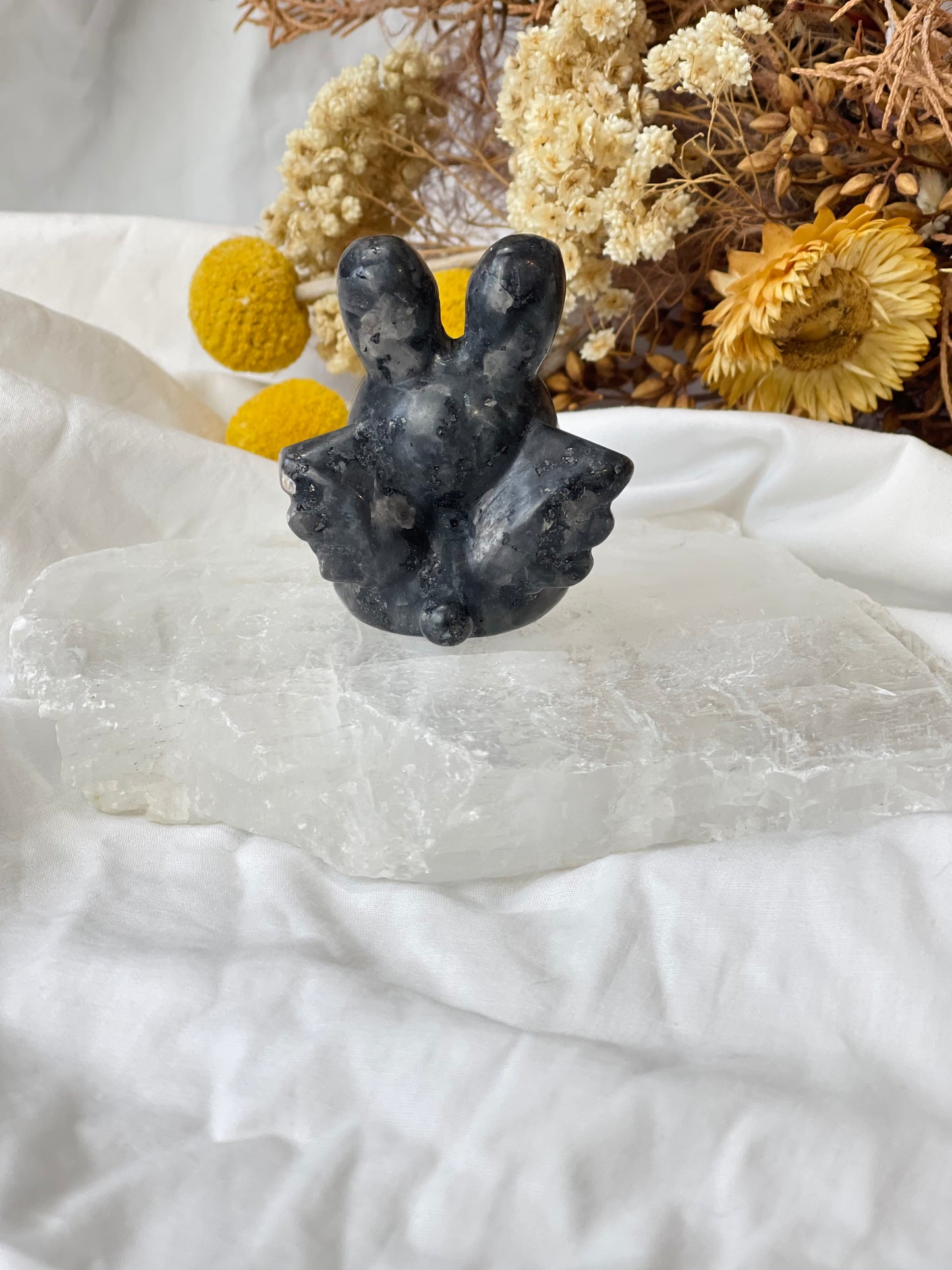 Larvakite Winged Bunny