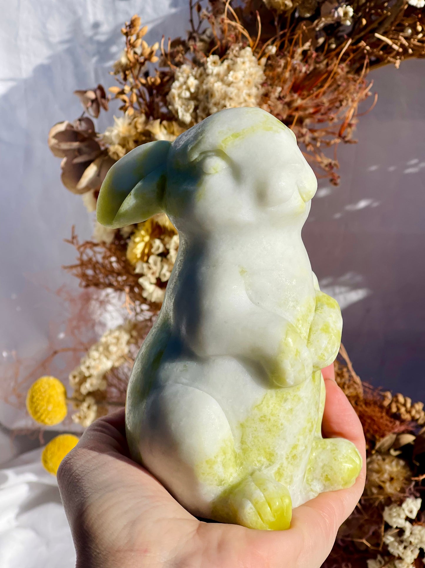 Lemon Jade Bunny