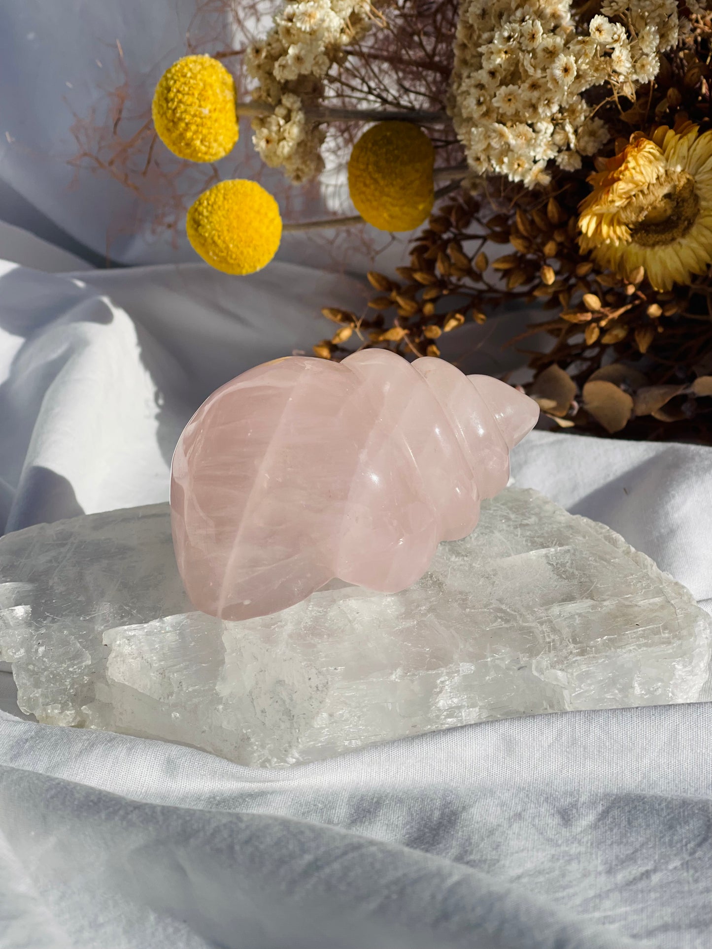 Rose Quartz Shell