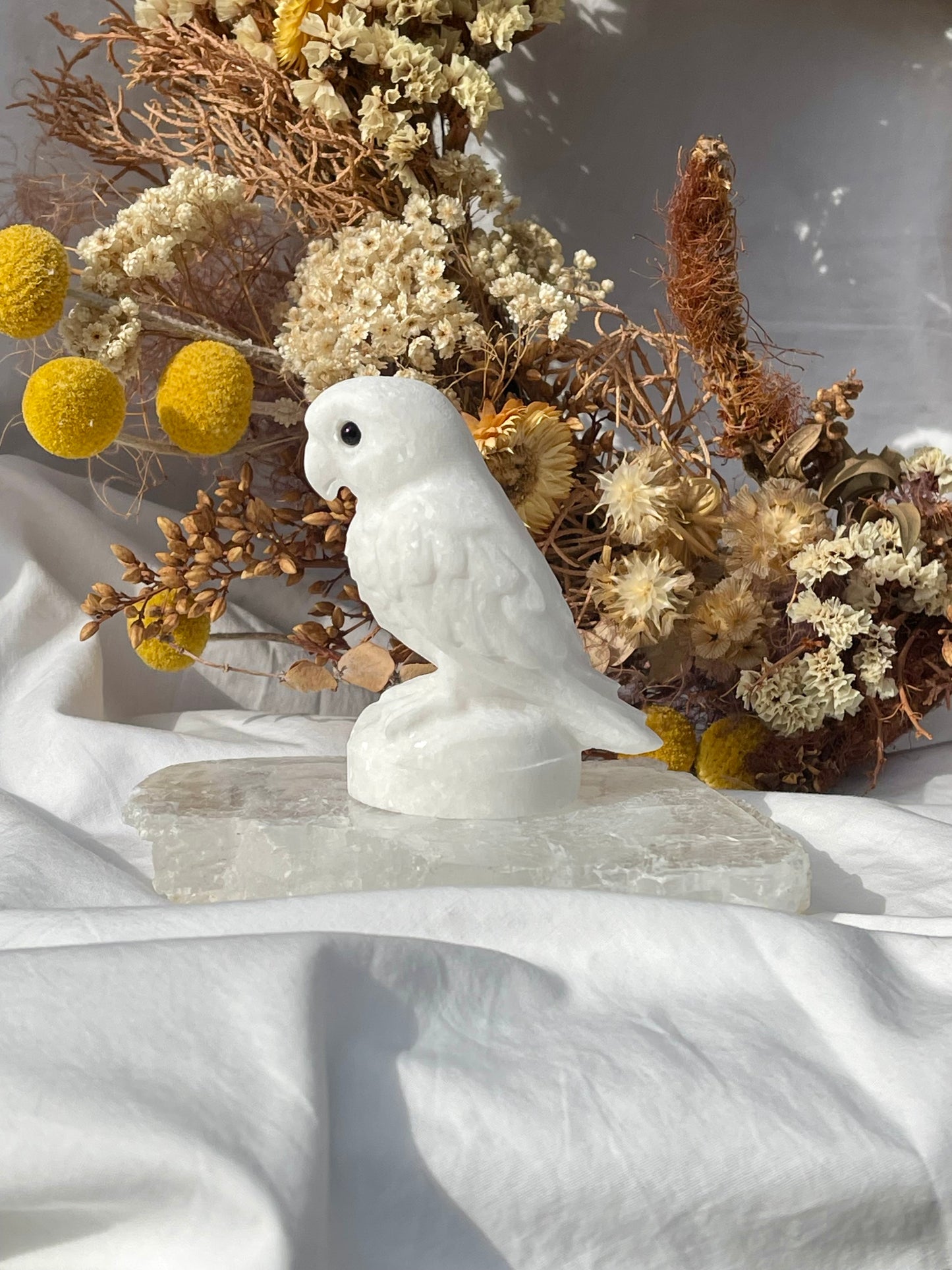 White Jade Parrot
