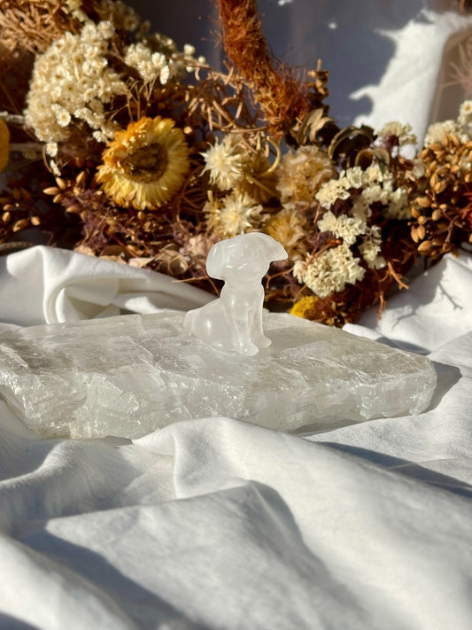 Quartz Dog