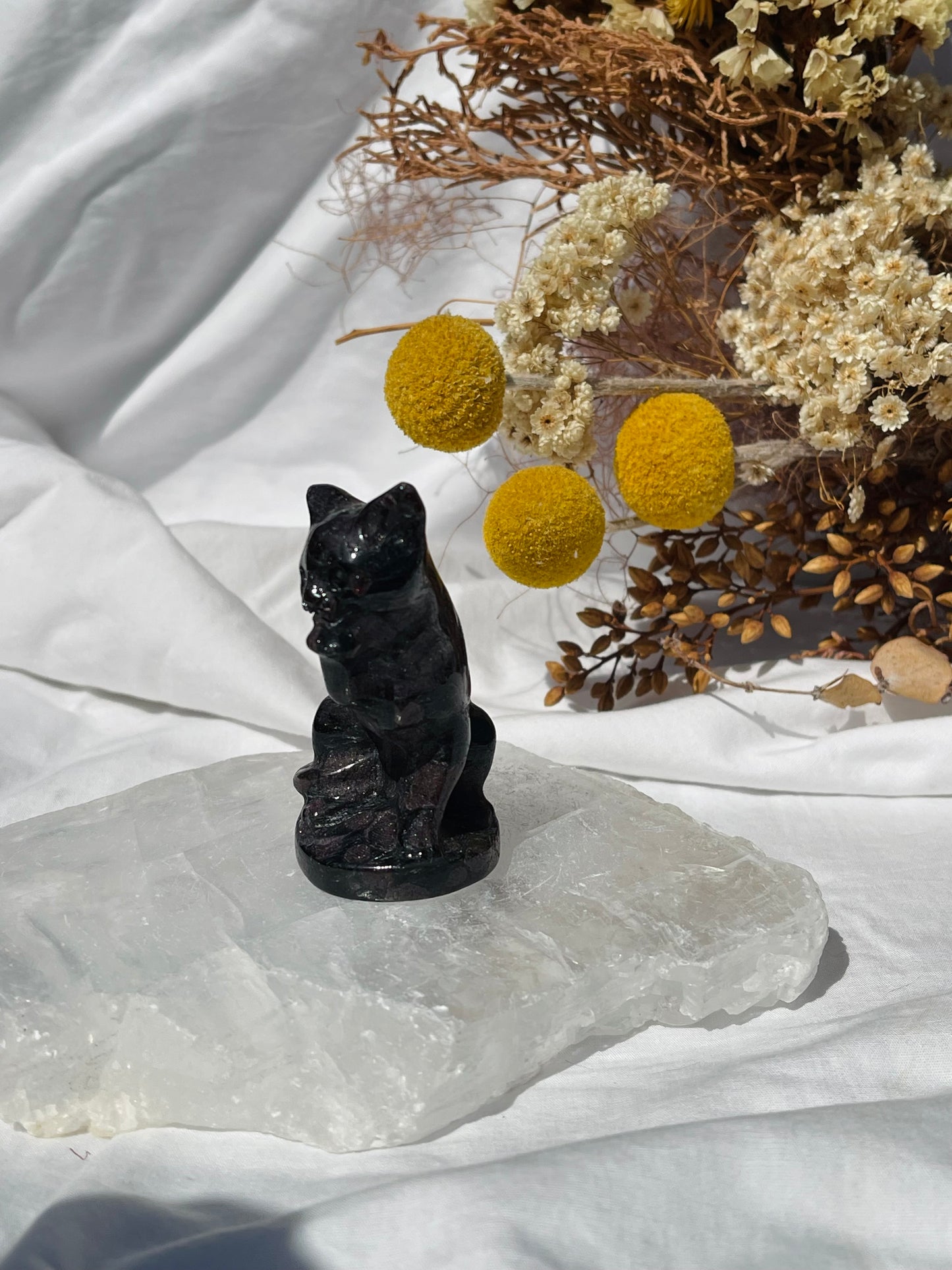 Garnet Astrophyllite Cat #1