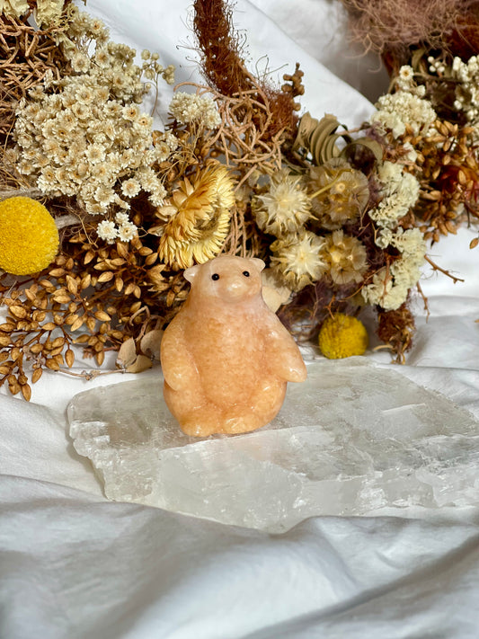 Sunstone Bear