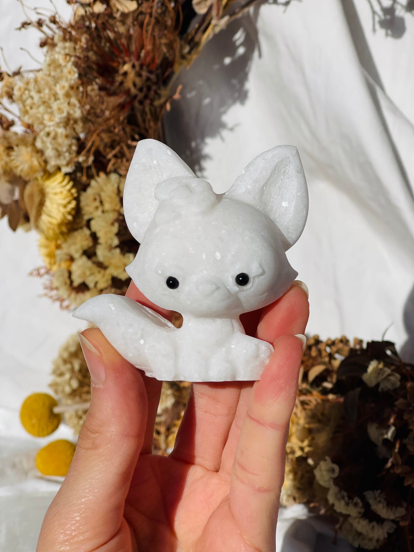 White Jade baby Fox