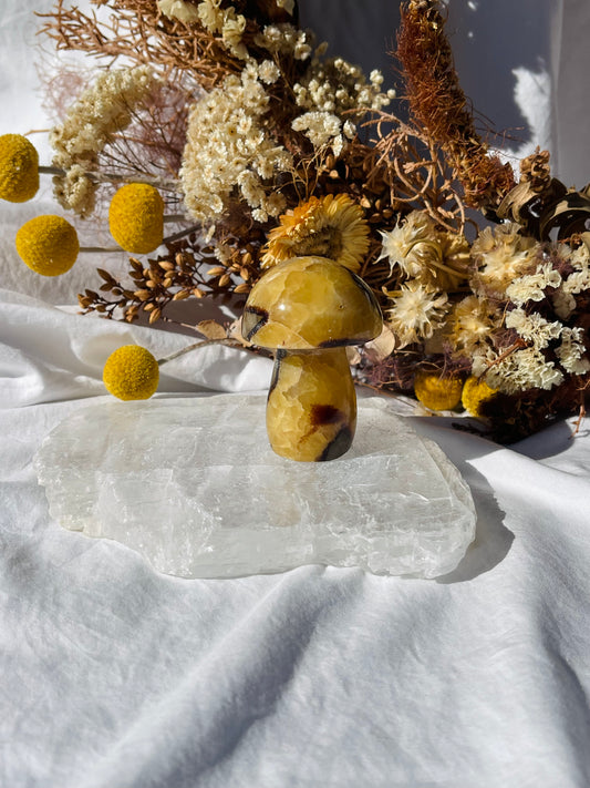 Septarian Dragonstone Mushroom