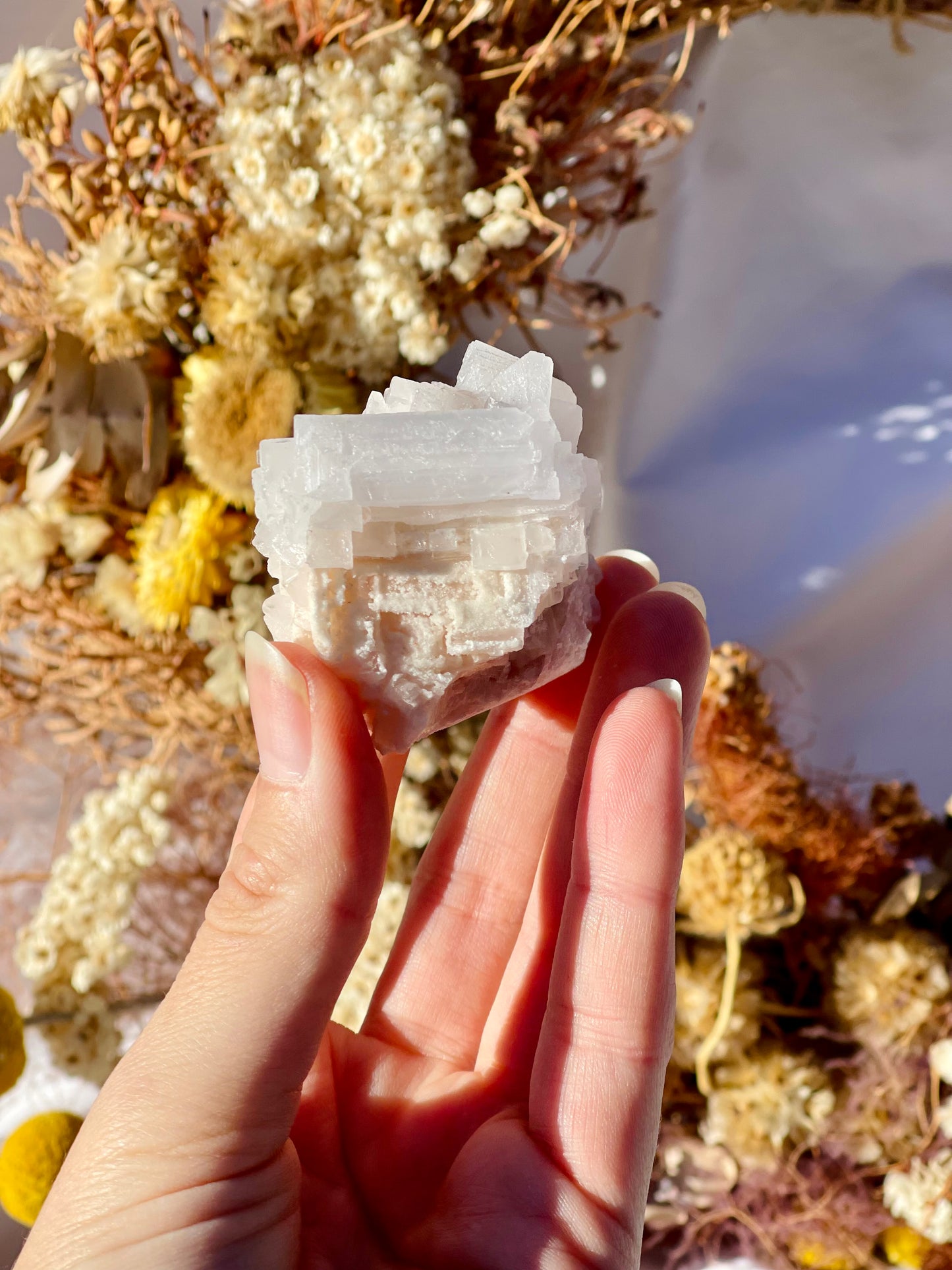 Pink Halite Cluster #2