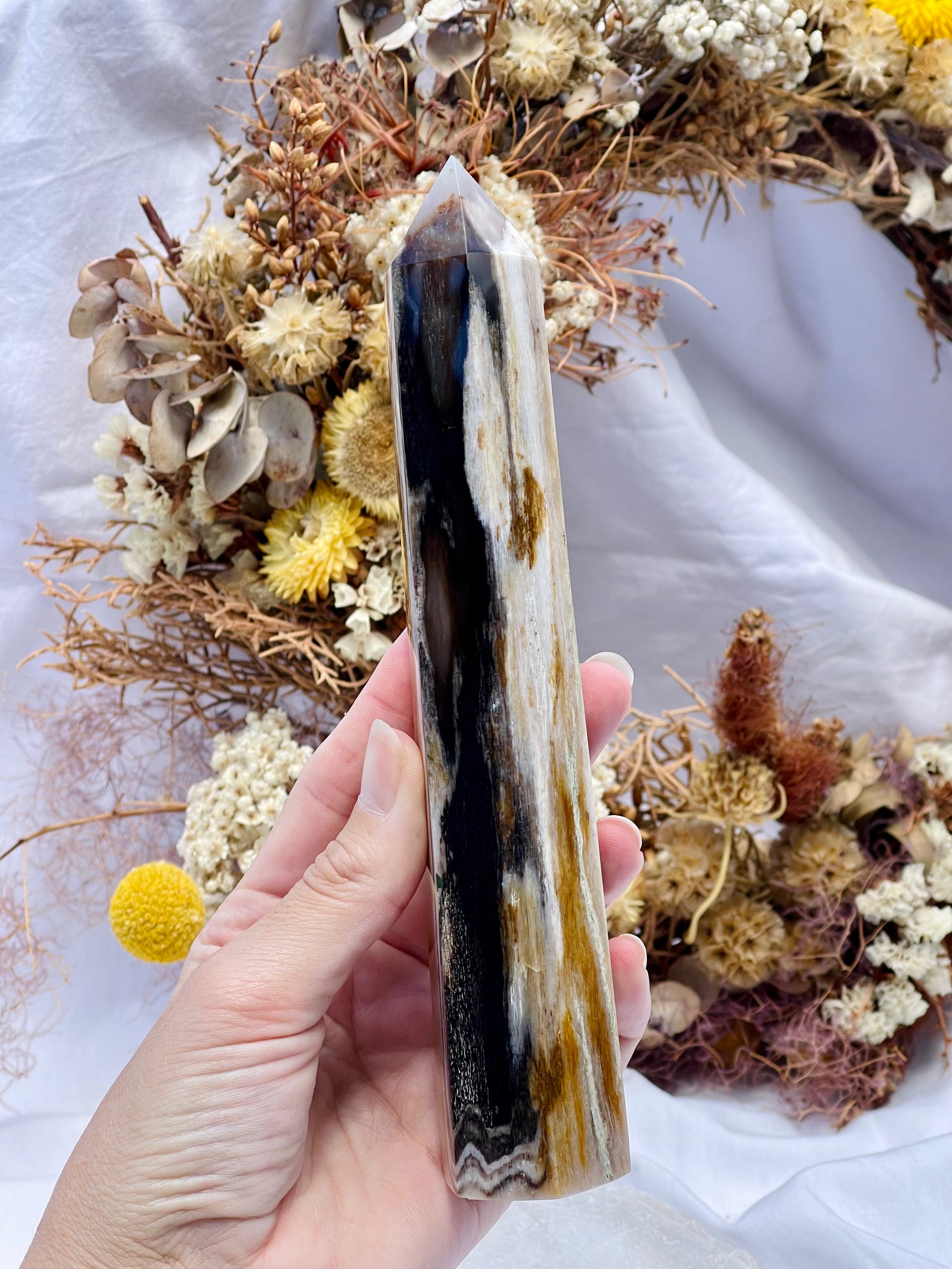 Wood Poit Rocks Petrified Wood Point #2 – Saint11crystals
