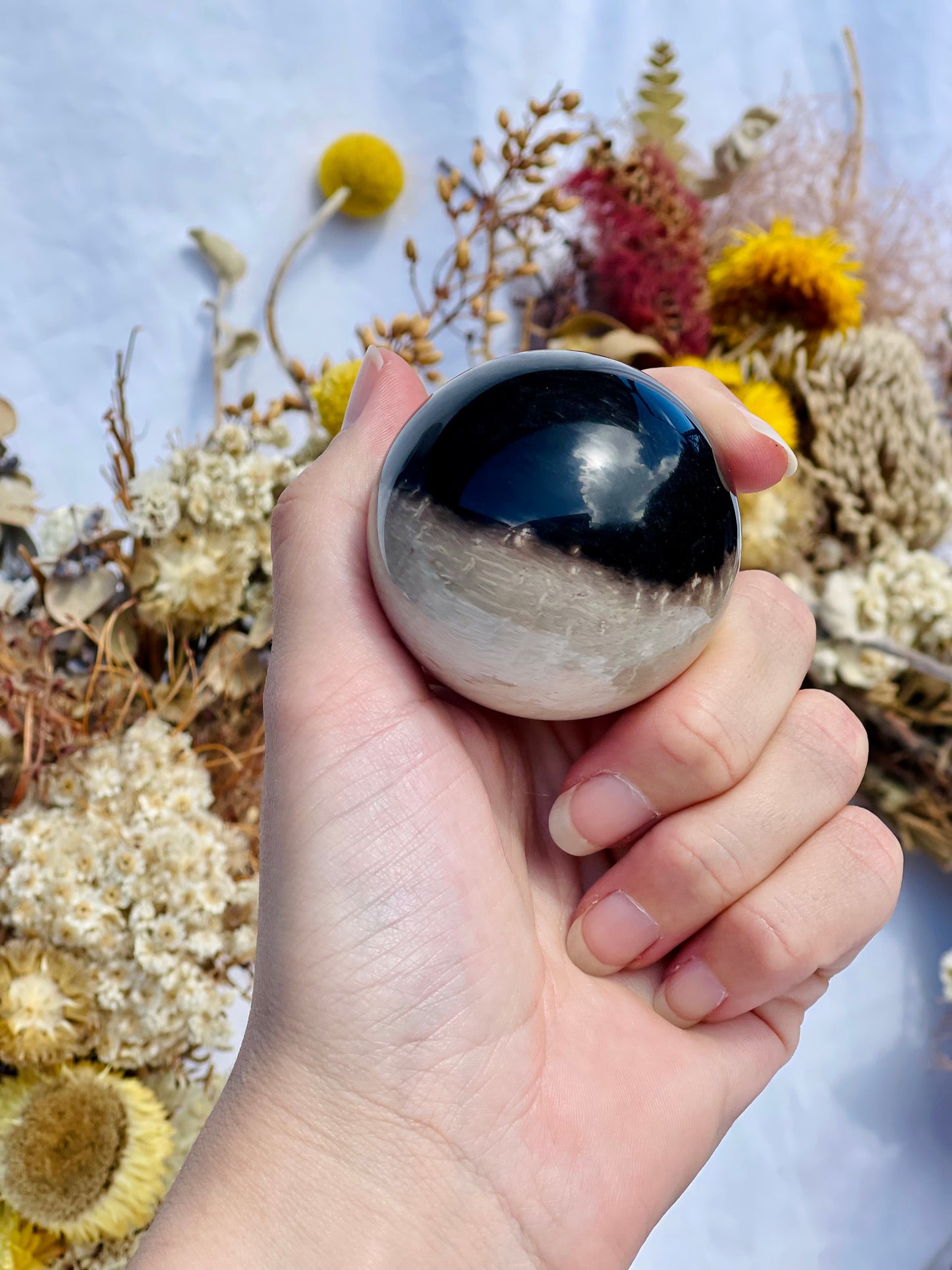 Petrified Palm Root Sphere