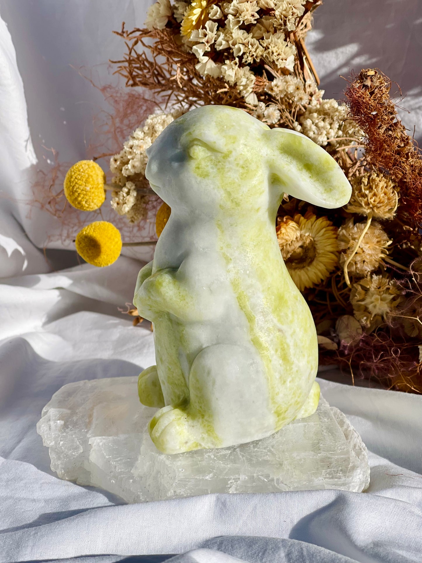 Lemon Jade Bunny