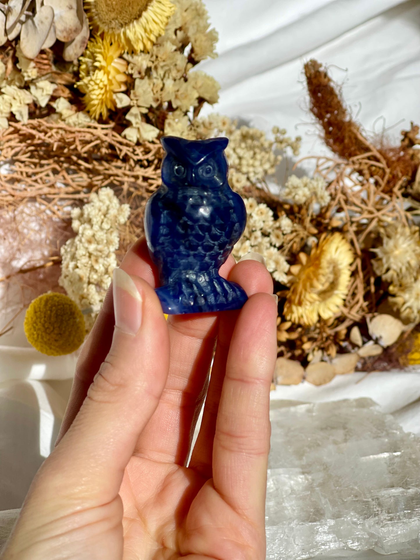 Sodalite Owl