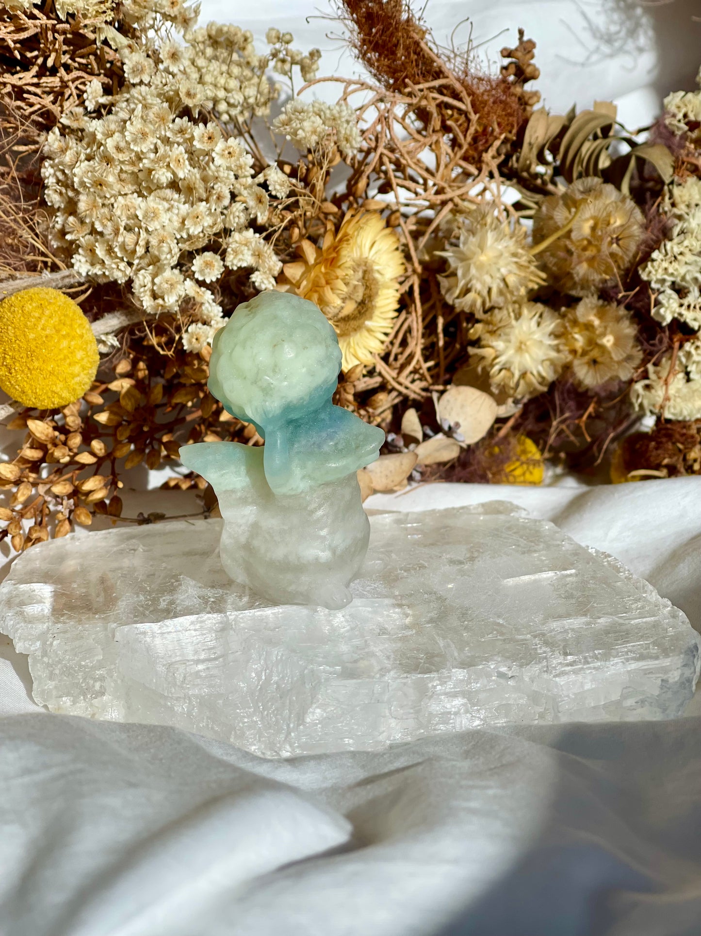 Brazilian Amazonite Squirrel #2