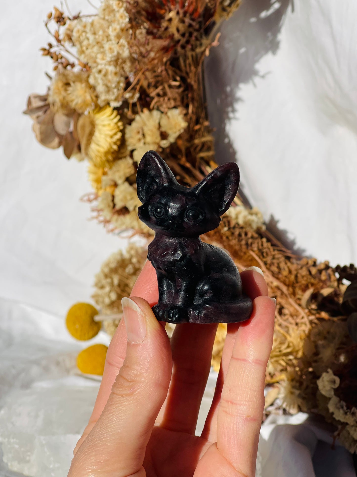 Garnet Astrophyllite Cat