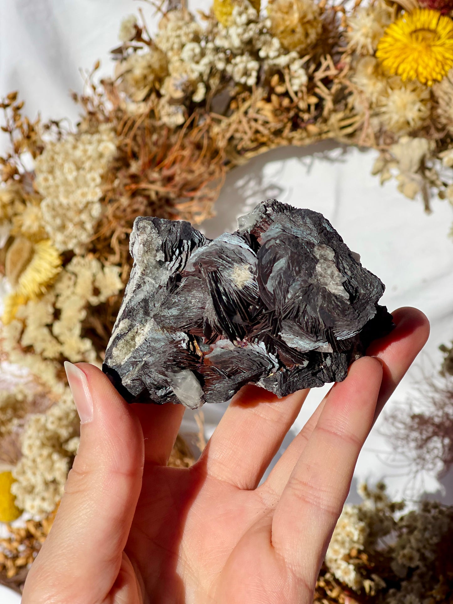 Black Rose Specularite With Quartz #1