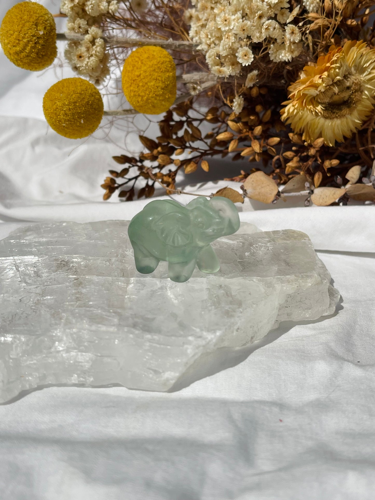 Fluorite Elephant #1