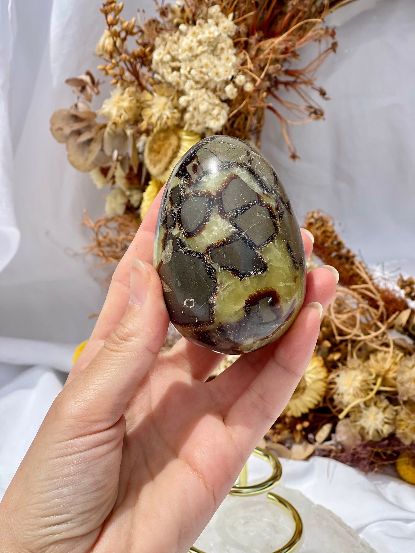 Septarian Dragon Stone Egg #1