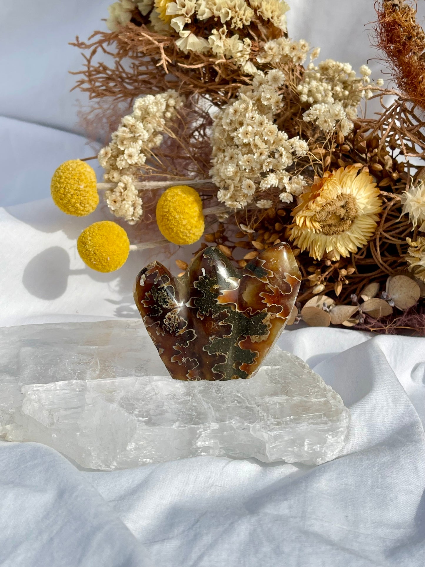 Ammonite Critter #3