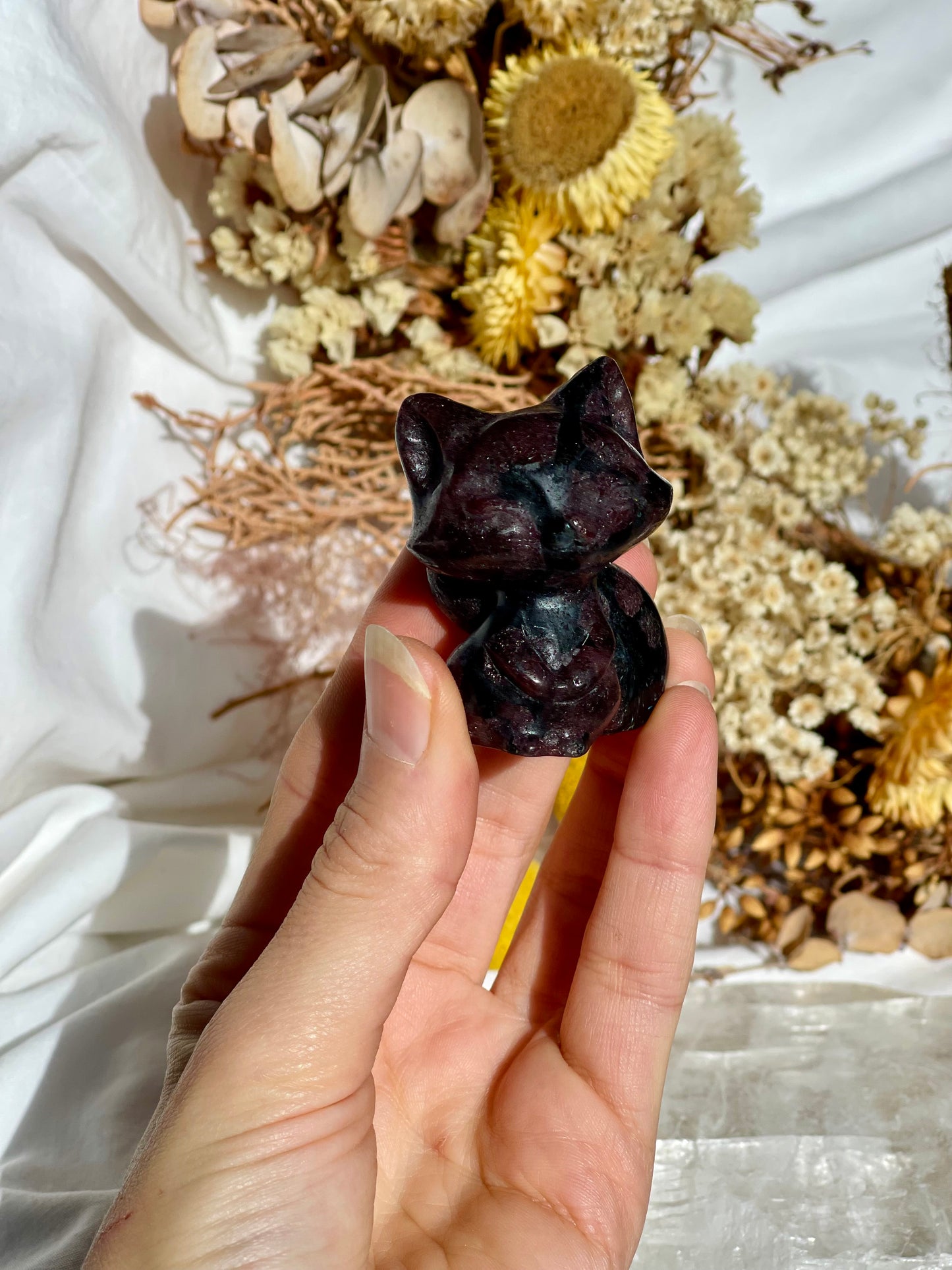 Garnet / Astrophyllite Fox