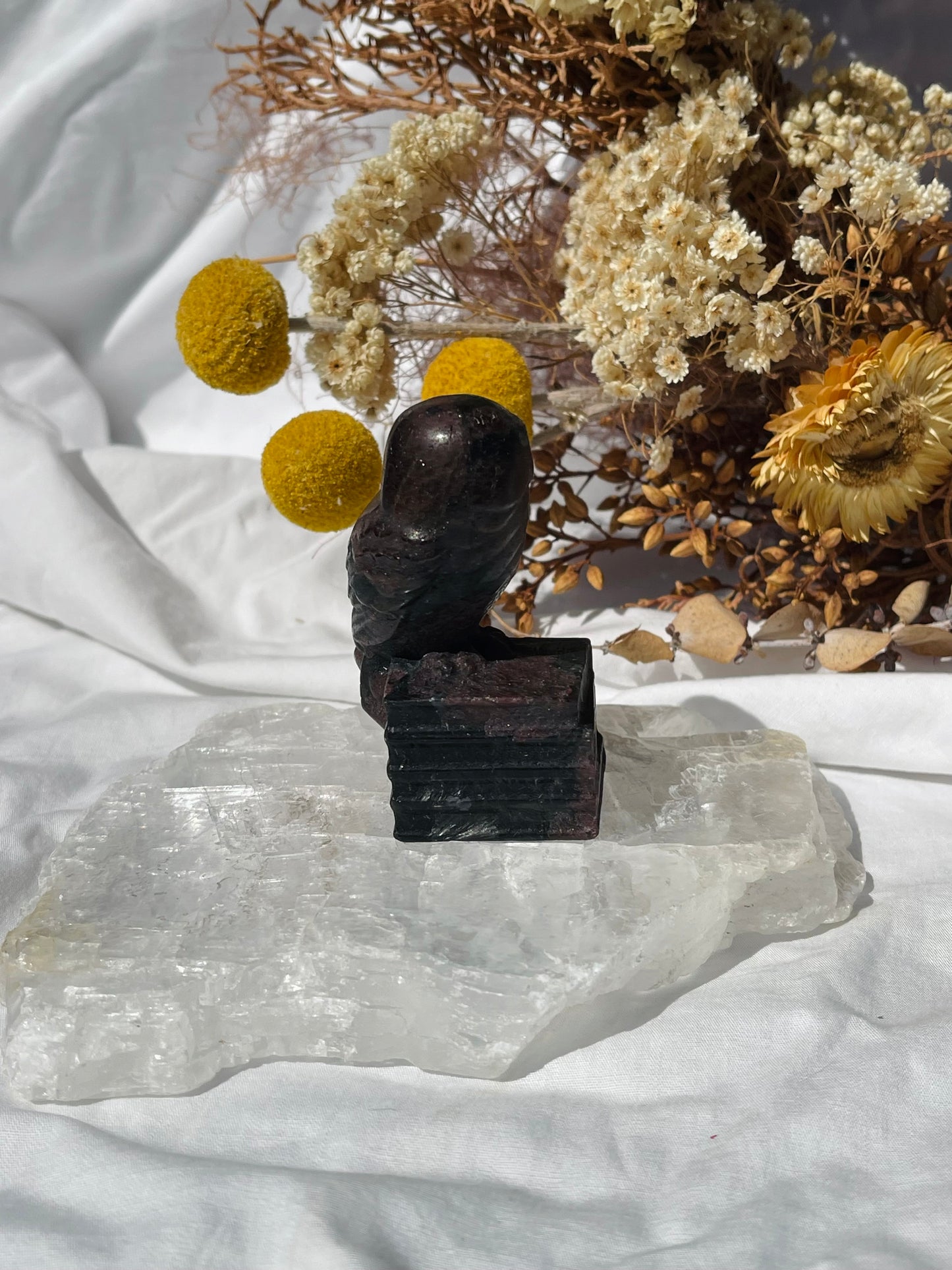 Garnet Astrophyllite Owl #1