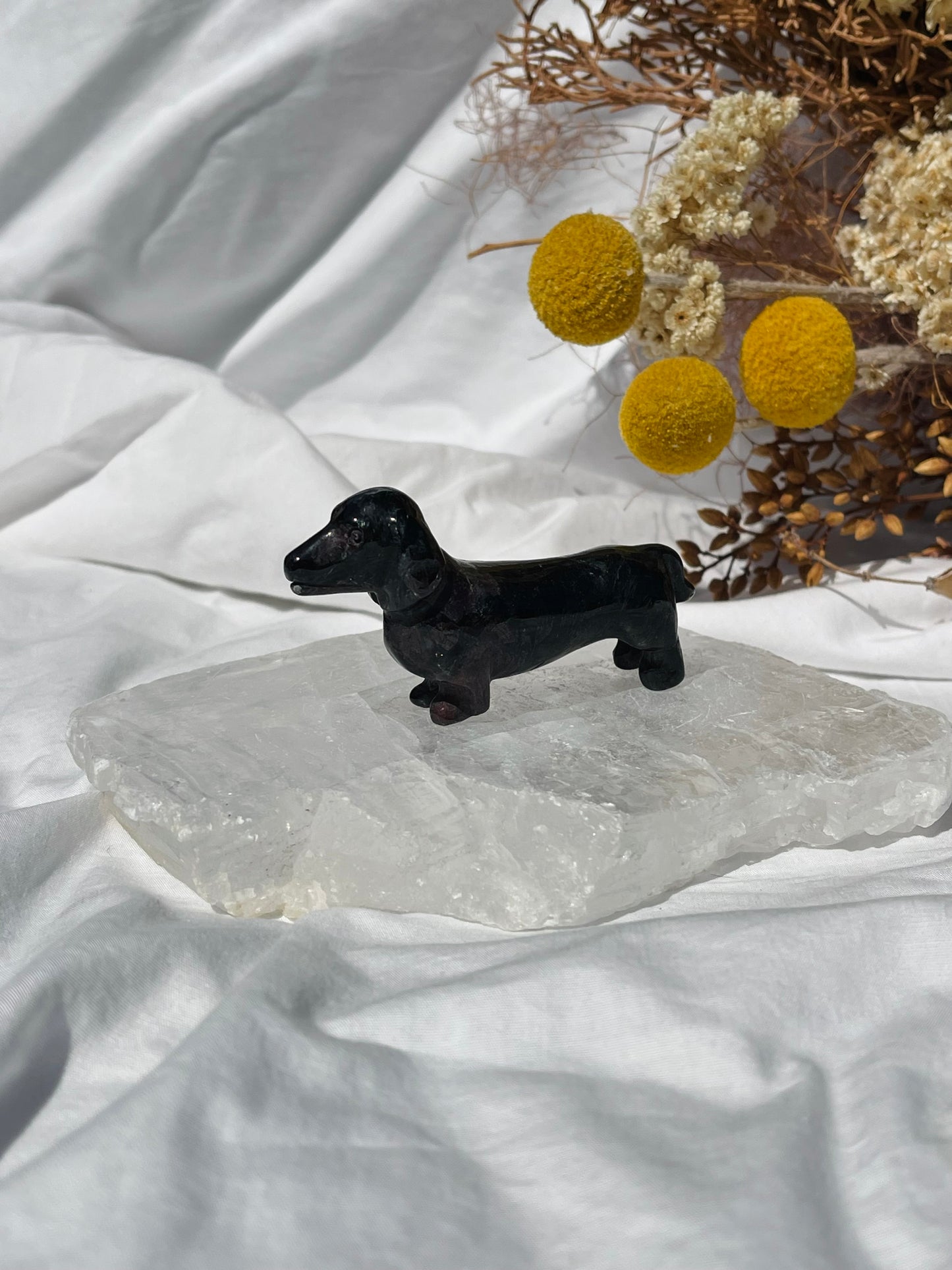 Garnet Astrophyllite Sausage Dog